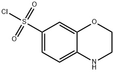 3,4-dihydro-2H-1,4-benzoxazine-7-sulfonyl chloride Structure