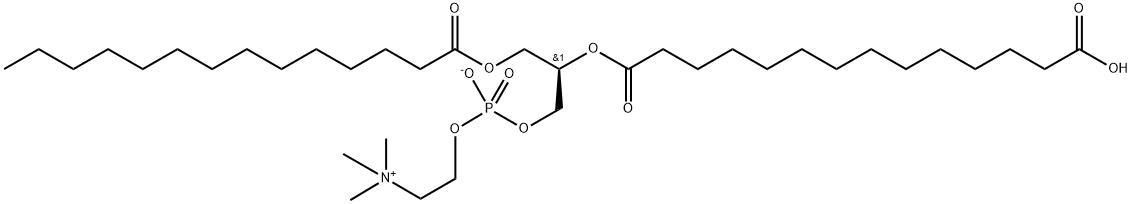1-MYRISTOYL-2-(14-CARBOXYMYRISTOYL)-SN-GLYCERO-3-PHOSPHOCHOLINE;14:0-14:0(COOH) PC, 119766-79-9, 结构式