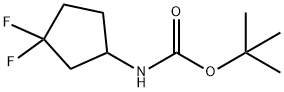 (3,3-二氟环戊基)氨基甲酸叔丁酯 结构式