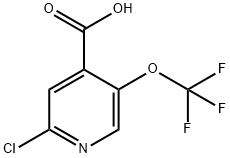 1221171-77-2 2-氯-5-三氟甲氧基异烟酸
