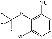 2-chloro-3-(trifluoroMethoxy)pyridin-4-aMine Structure