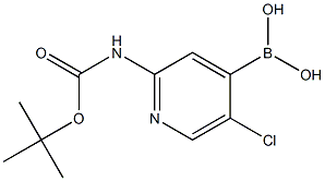 (2-((叔丁氧羰基)氨基)-5-氯吡啶-4-基)硼酸, 1222522-36-2, 结构式
