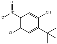 2-(tert-Butyl)-4-chloro-5-nitrophenol Struktur