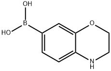 (3,4-dihydro-2H-benzo[b][1,4]oxazin-7-yl)boronic acid Structure