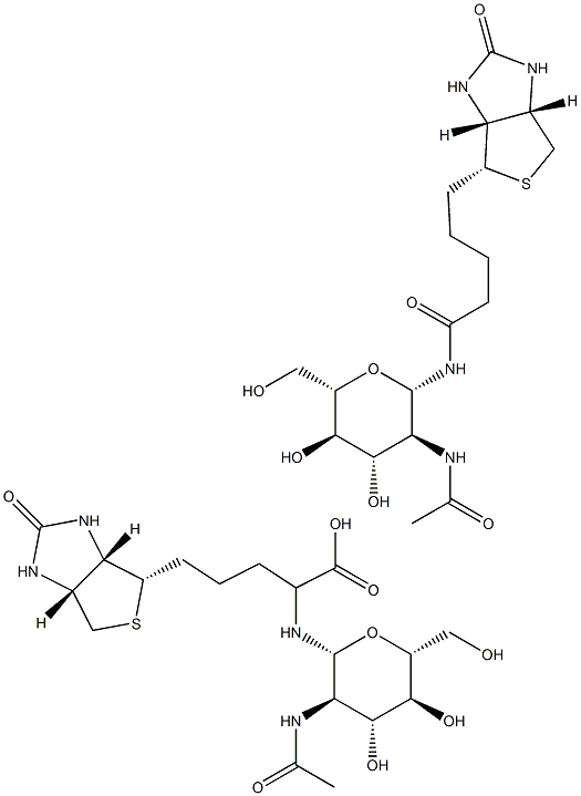 N-GlcNAc-ビオチン 化学構造式