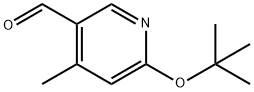 6-(叔丁氧基)-4-甲基烟醛, 1289148-87-3, 结构式