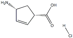 (1S,4R)-4-AMinocyclopent-2-enecarboxylic acid hydrochloride Struktur