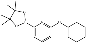 2-(环己氧基)-6-(4,4,5,5-四甲基-1,3,2-二氧硼杂环戊烷-2-基)吡啶, 1310383-05-1, 结构式