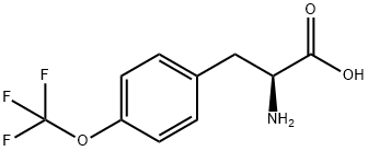(2S)-2-AMINO-3-[4-(TRIFLUOROMETHOXY)PHENYL]PROPANOIC ACID Struktur