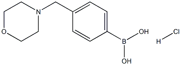(4-(MorpholinoMethyl)phenyl)boronic acid (hydrochloride)|(4-(吗啉代甲基)苯基)硼酸(盐酸盐)