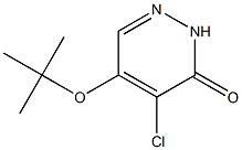 5-tert-butoxy-4-chloropyridazin-3(2H)-one Struktur