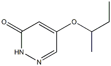 5-sec-butoxypyridazin-3(2H)-one Struktur
