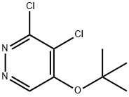 5-tert-butoxy-3,4-dichloropyridazine Struktur