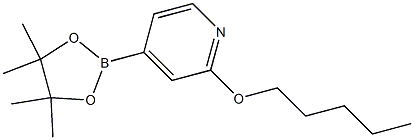2-(戊氧基)-4-(4,4,5,5-四甲基-1,3,2-二氧硼烷-2-基)吡啶 结构式