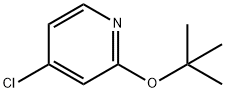 2-tert-butoxy-4-chloropyridine Struktur