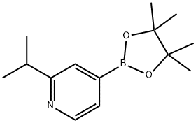 2-isopropyl-4-(4,4,5,5-tetraMethyl-1,3,2-dioxaborolan-2-yl)pyridine 结构式