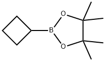 环丁基硼酸频哪醇酯,1360914-08-4,结构式