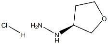 (S)-(tetrahydrofuran-3-yl)hydrazine hydrochloride 化学構造式