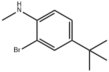 1369874-19-0 (2-BroMo-4-tert-butyl-phenyl)-Methyl-aMine