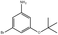 3-溴-5-(叔丁基氧基)苯胺 结构式