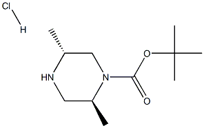 (2S,5R)-1-Boc-2,5-diMethylpiperazine hydrochloride Struktur
