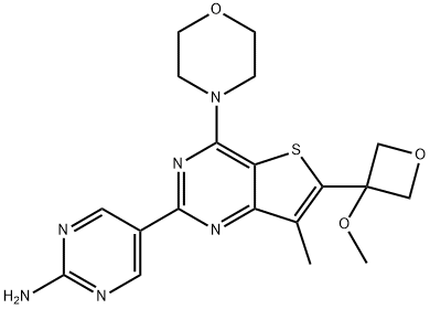 5-(6-(3-Methoxyoxetan-3-yl)-4-Morpholinothieno[3,2-d]pyriMidin-2-yl)pyriMidin-2-aMine Struktur