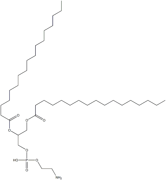 1,2-diheptadecanoyl-sn-glycero-3-phosphoethanolaMine 化学構造式