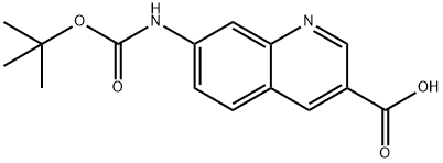 1416440-75-9 7-((叔-丁氧羰基)氨基)喹啉-3-羧酸