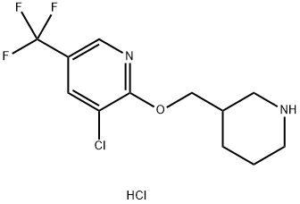3-氯-2-(哌啶-3-基甲氧基)-5-三氟甲基-吡啶盐酸盐, 1417793-17-9, 结构式