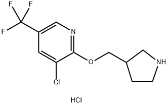 3-氯-2-(吡咯烷-3-基甲氧基)-5-三氟甲基-吡啶盐酸盐, 1417794-08-1, 结构式