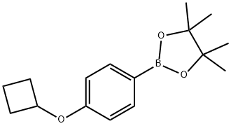 1432572-02-5 2-(4-Cyclobutoxy-phenyl)-4,4,5,5-tetraMethyl-[1,3,2]dioxaborolane