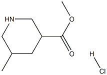 Methyl 5-Methylpiperidine-3-carboxylate hydrochloride Structure