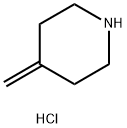 4-メチレンピペリジン塩酸塩 化学構造式