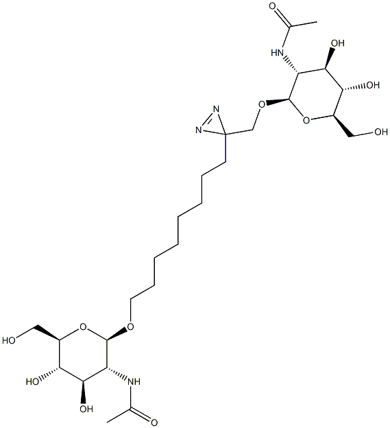 8-[3-[[[2-(乙酰氨基)-2-脱氧-BETA-D-吡喃葡糖基]氧基]甲基]-3H-双吖丙啶-3-基]辛基 2-(乙酰氨基)-2-脱氧-BETA-D-吡喃葡糖苷 结构式
