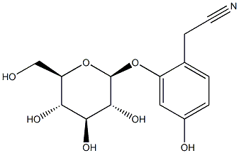 Ehretioside B Structure