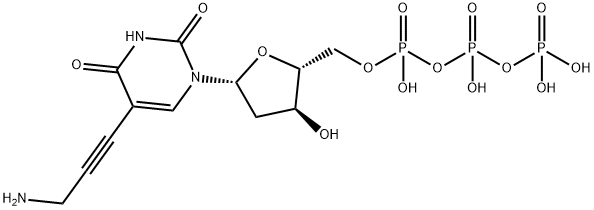 5-(3-アミノ-1-プロピン-1-イル)-2'-デオキシウリジン5'-(三りん酸四水素) 化学構造式