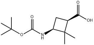188918-39-0 cis-3-(Boc-aMino)-2,2-diMethylcyclobutanecarboxylic acid