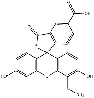 4'-氨甲基-6-羧基荧光素 结构式