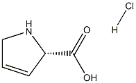 3,4-脱氢-L-脯氨酸盐酸盐 结构式
