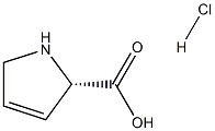 3,4-Dehydro-L-proline hydrochloride|3,4-脱氢-L-脯氨酸盐酸盐