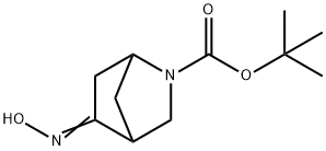 TERT-BUTYL 5-(HYDROXYIMINO)-2-AZABICYCLO[2.2.1]HEPTANE-2-CARBOXYLATE Struktur