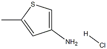 5-メチルチオフェン-3-アミン塩酸塩 化学構造式