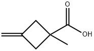 1-Methyl-3-Methylenecyclobutanecarboxylic acid Struktur
