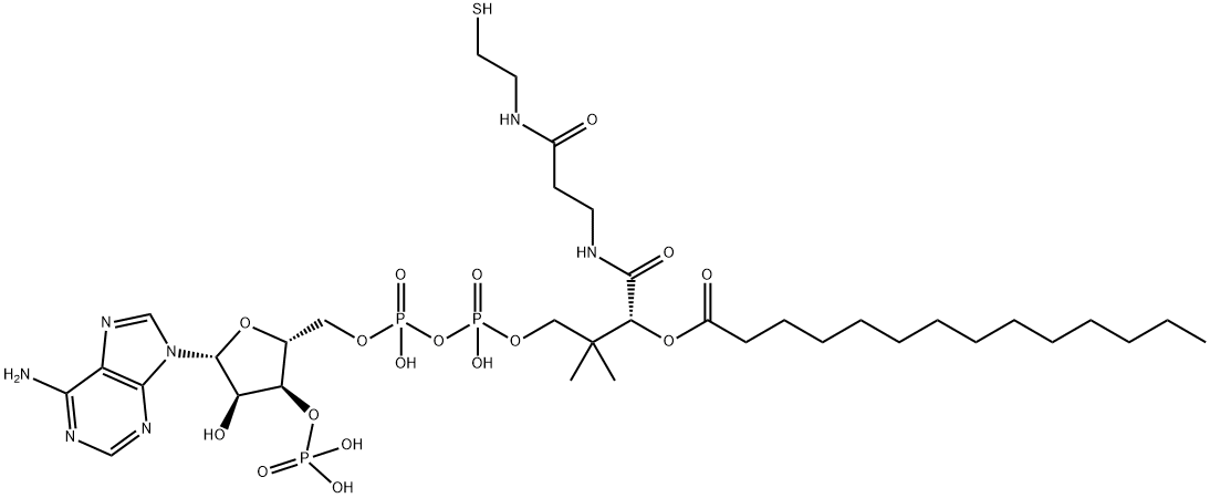 肉豆蔻酰辅酶A, 3130-72-1, 结构式
