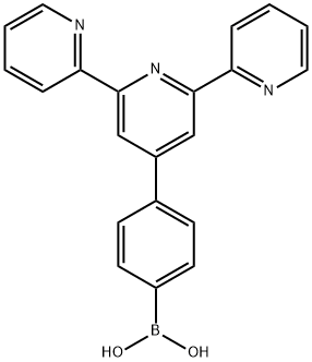 381218-96-8 4'-(4-硼酸基苯基)-2,2':6',2''-三联吡啶