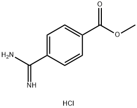 4-aMidinobenzoic acid Methyl ester hydrochloride|4-脒基苯甲酸甲酯盐酸盐