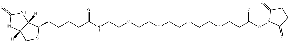 15-biotinlaMino-4,7,10,13-dioxanonanoic acid N-hydroxysucciniMidyl ester Struktur