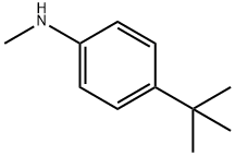 (4-tert-Butyl-phenyl)-Methyl-aMine Struktur