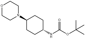 tert-butyl ((1r,4r)-4-Morpholinocyclohexyl)carbaMate Struktur