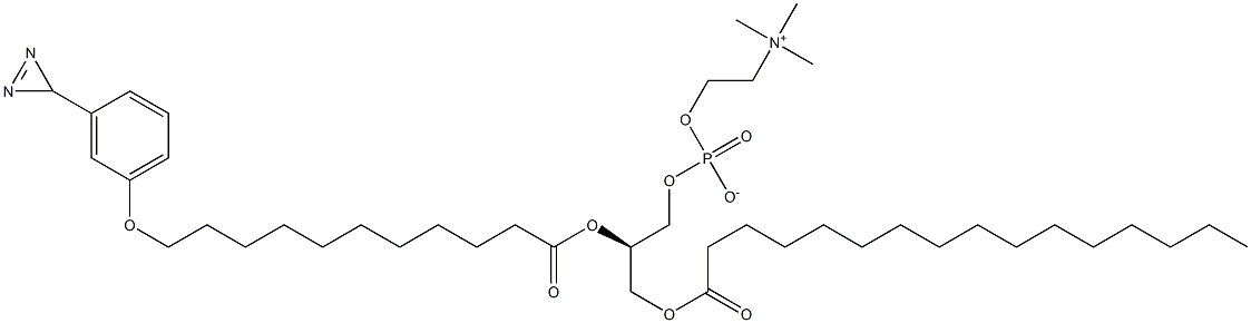 1-palmitoyl-2-(11-(3-diazirinophenoxy)undecanoyl)-sn-glycero-3-phosphocholine Struktur
